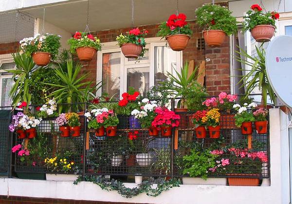 Оформление балкона цветами: 8 практических советов - фото